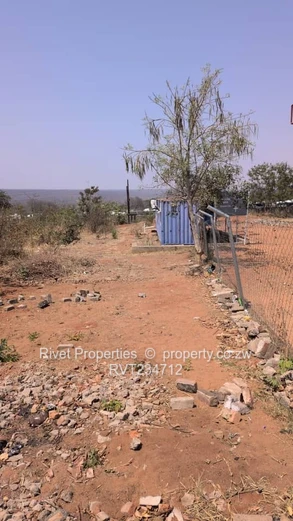 Commercial Stands For Sale