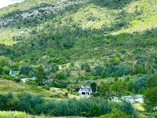 6081 m² Prime Nyanga Plot for Sale with Title Deeds
