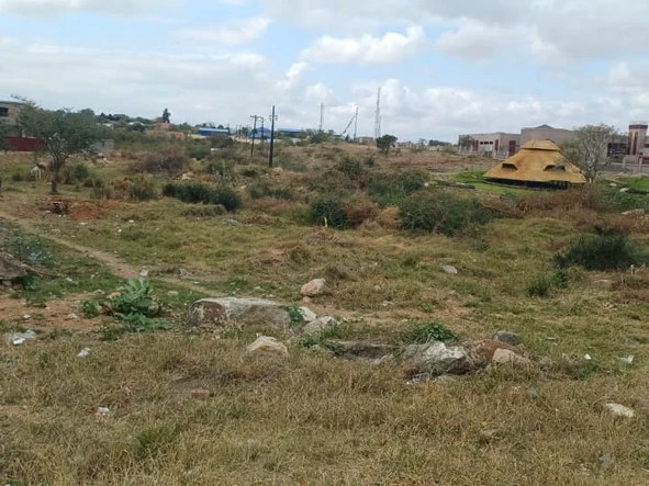 Commercial & Industrial Land