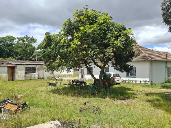 Commercial & Industrial Land