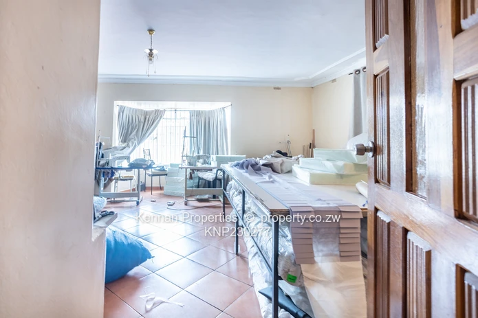 Renovator's Dream - Nostro!