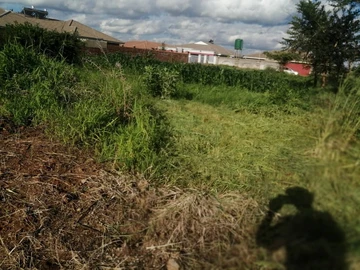 Stands & Residential Land