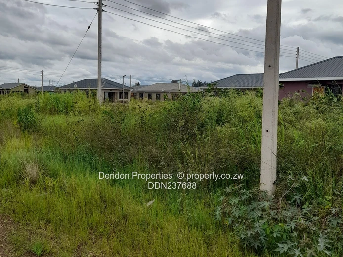 Fully serviced stand in a gated community 