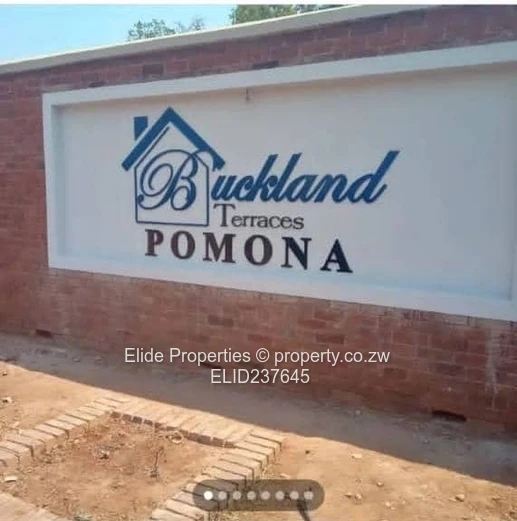 Pomona Buckland Terraces Stand (Sole Mandate)