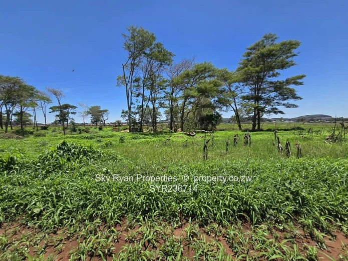 Tynwald Stands For Sale 