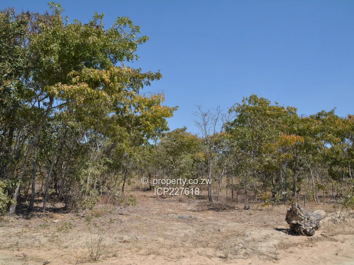 10 Hectares of Agricultural Land in Goromonzi, Zimbabwe with a Parent Deed terms available 