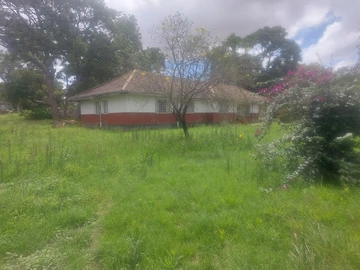 Farm & Agricultural Land