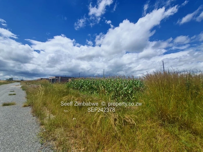 300m² Stand in Nyabira — Level Plot, Road & Power (Sole Mandate)