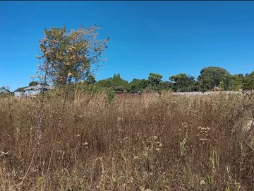 Land