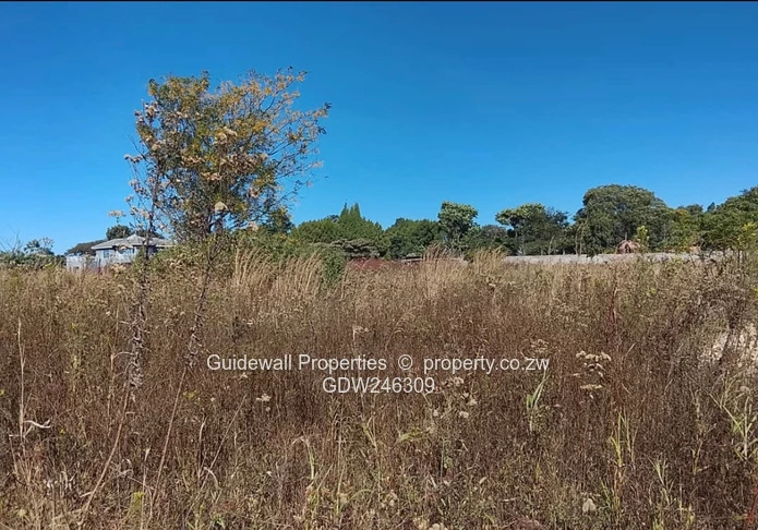 5000sqm stand for sale in Blufhill