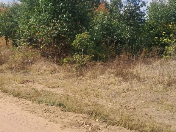 Commercial & Industrial Land
