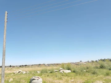 Stands & Residential Land