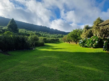Juliasdale / Nyanga Dream Property For Sale!