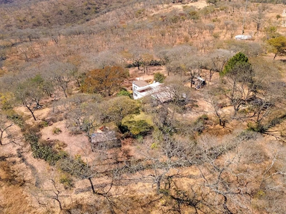 Farm & Agricultural Land