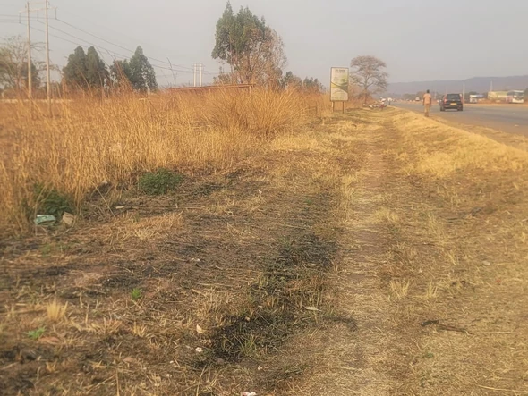 Commercial & Industrial Land