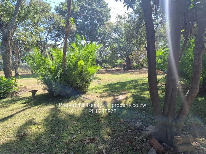 Furnished 4-Bed in stortford — 9000m² Garden & Borehole