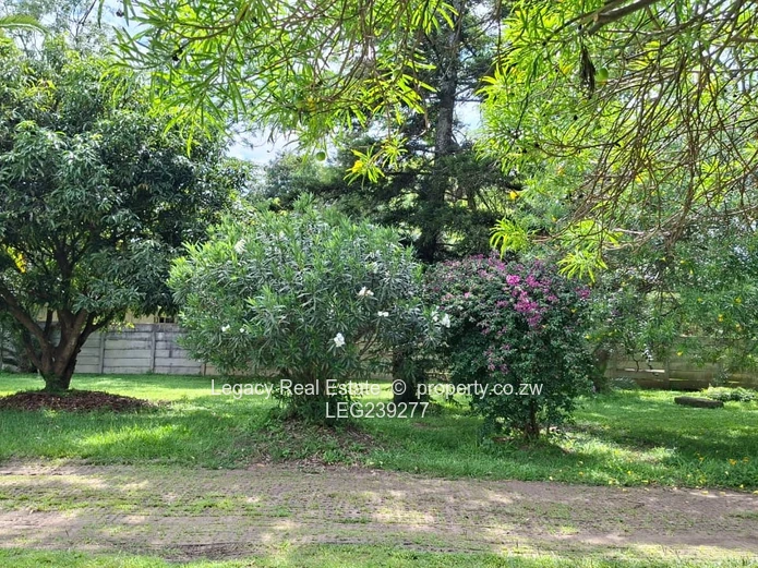 Marlborough (Near Marlborough Primary) – House to Let