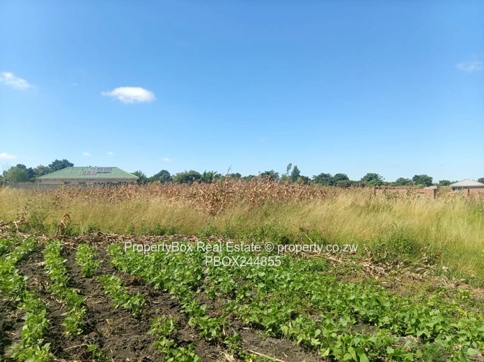 Vacant Stand for Sale in Hatfield Estate