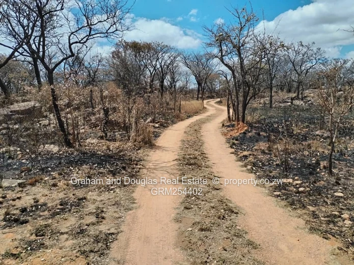 Bulawayo Fortunes Gate pieces of land for sale