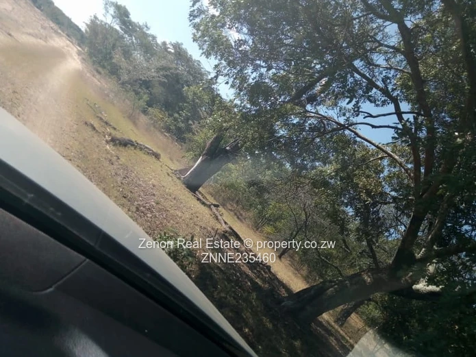 15ha plots in Mvuma , 20km from masvingo highway.immediate occupation on deposit.74k