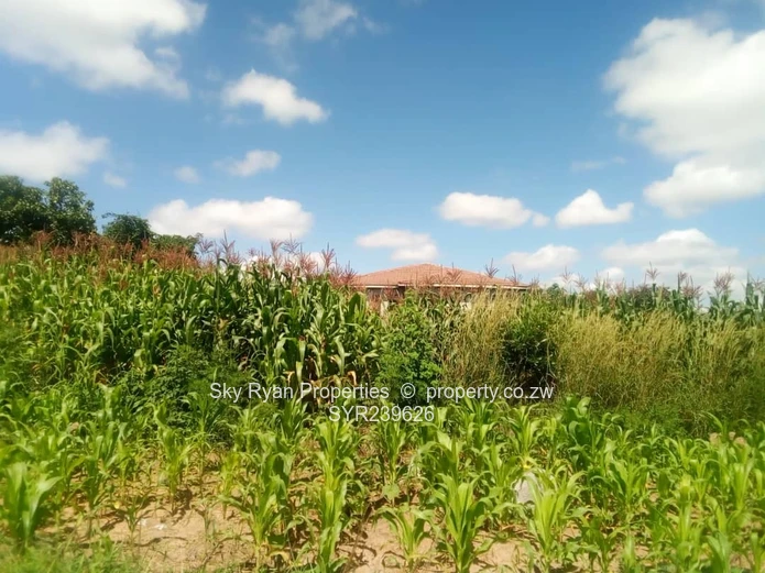 Crowhill Land For Sale