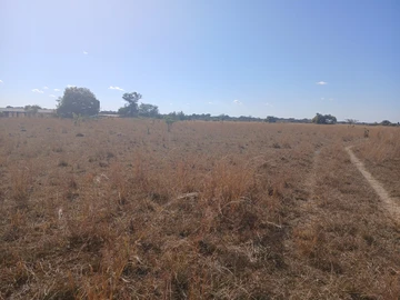 Farm & Agricultural Land