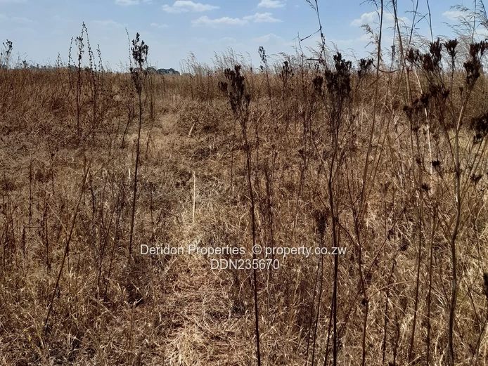 Build your dream home  (Sole Mandate)