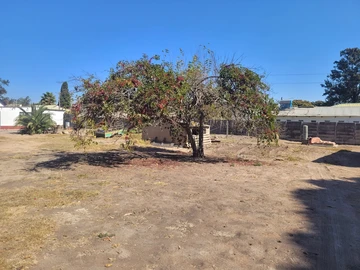 Stands & Residential Land