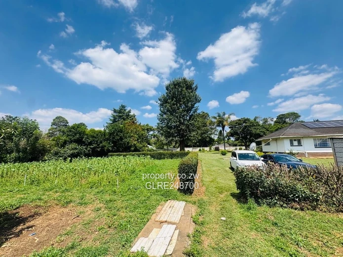 2000 m² Emerald Hill Stand — Secure, Treed & Subdividable