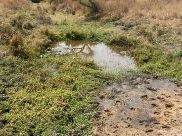 Farm & Agricultural Land