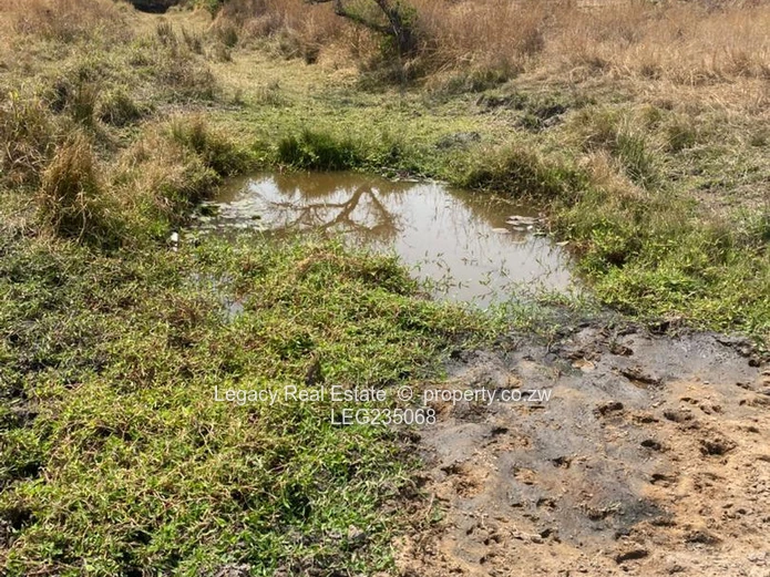 10 Hectares for Sale – Fertile Land with Stream | Flexible Terms