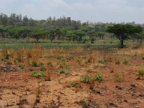 Farm & Agricultural Land