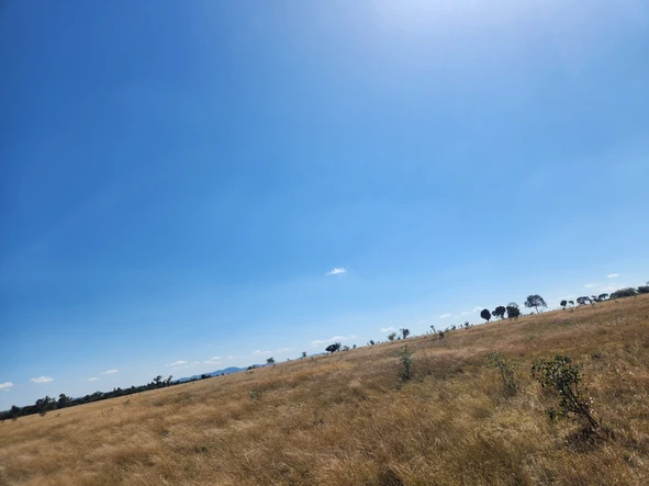 Farm & Agricultural Land