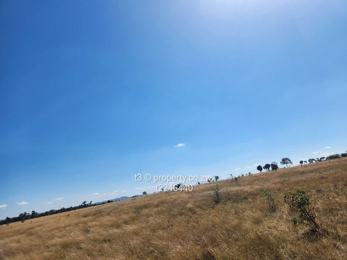  Darwendale Farm - 400 hectares 
