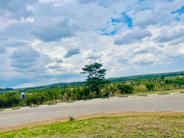 Commercial & Industrial Land