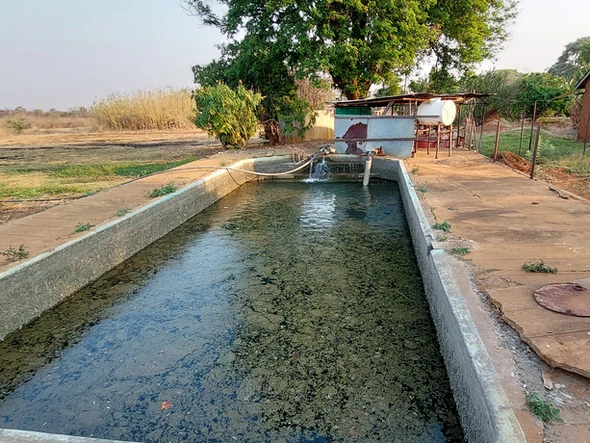 Farm & Agricultural Land