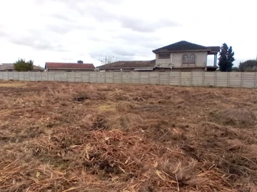 Stands & Residential Land