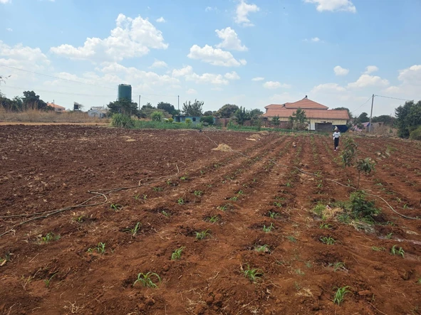 Stands & Residential Land
