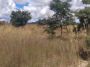 Farm & Agricultural Land