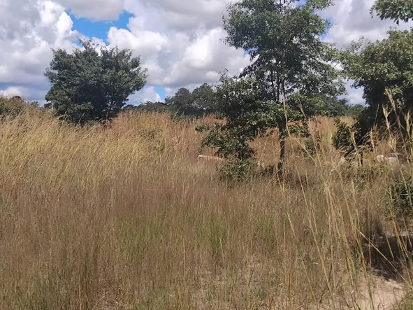 Farm & Agricultural Land