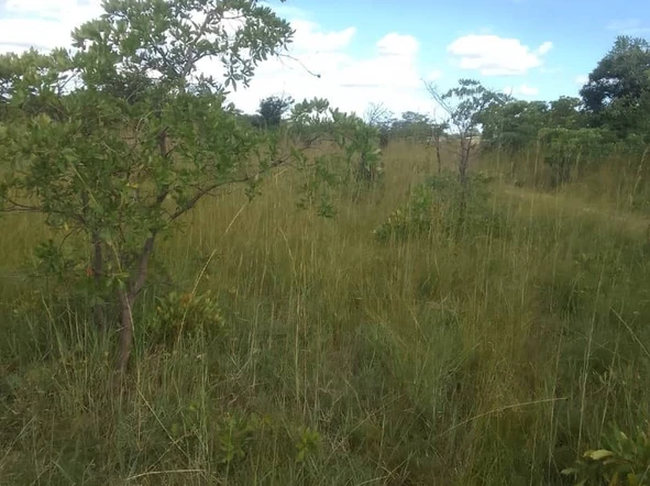 Farm & Agricultural Land