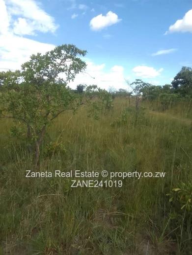 Beatrice Plot for sale