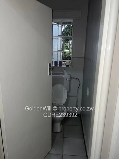 Avenues fully furnished flat to rent 