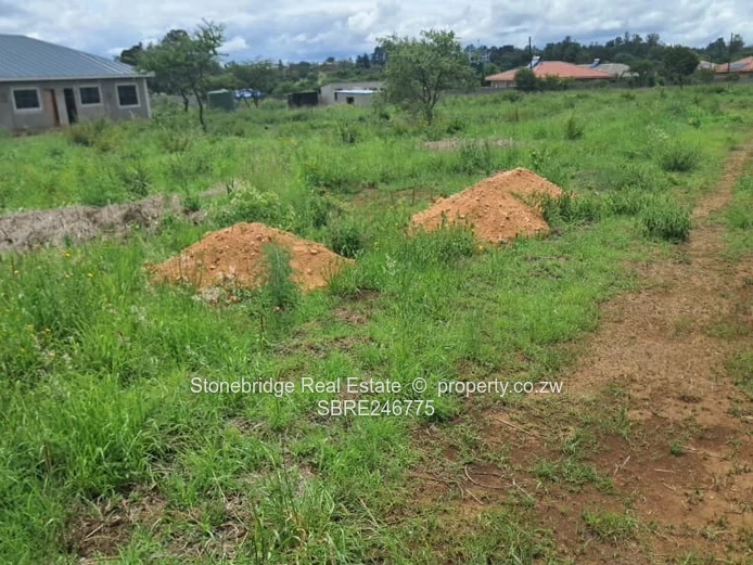 7000SQM Stand in Buena Vista for sale