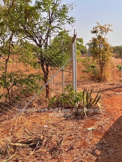Vacant Stand in built up area