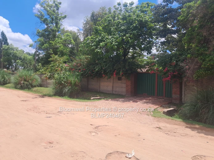 Renovators Dream With Huge Potential