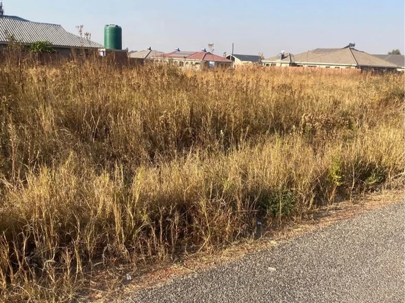 Stands & Residential Land