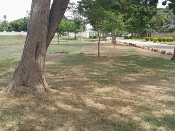 Commercial & Industrial Land