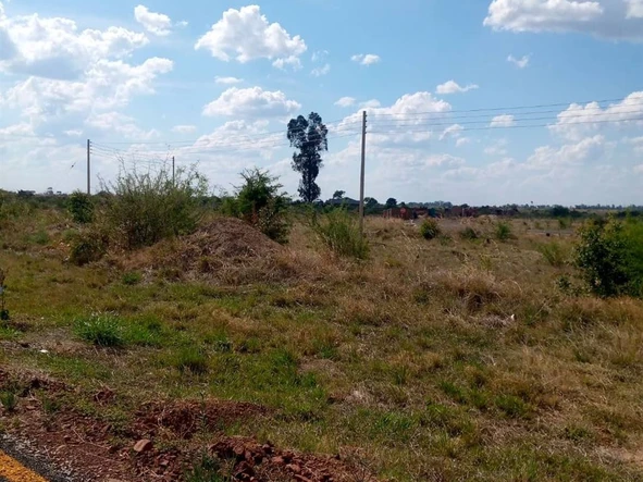 Stands available in a new suburb 10 km from Westgate. 