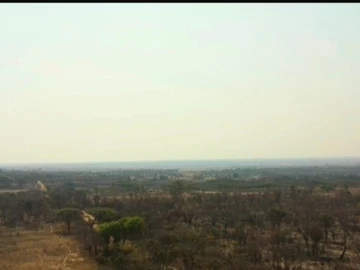 Farm & Agricultural Land